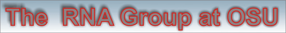 OSU RNA Group
